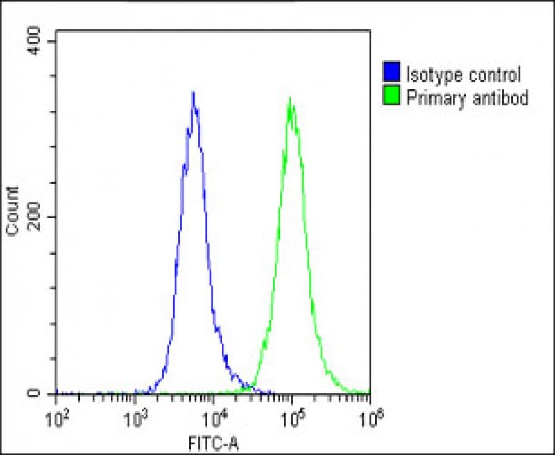 Polyclonal Rabbit anti-Human APLP1 / APLP-1 Antibody (C-Terminus, WB)