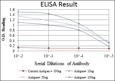IHC-plus™ c-CBL Antibody (clone 3B12)