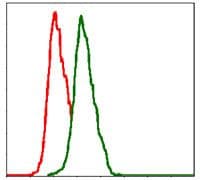 Monoclonal Mouse anti-Human ITGB1 / Integrin Beta 1 / CD29 Antibody (clone 3B6, IHC, WB)