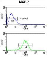 NR1H3 / LXR Alpha Antibody (aa226-253)