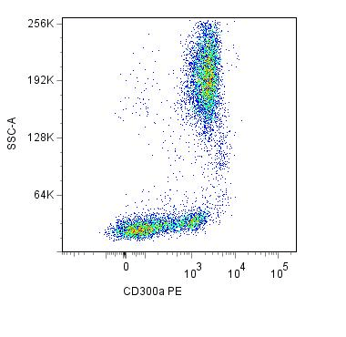 CD300A Antibody (clone MEM-260, PE)