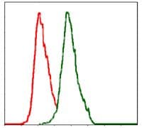 Monoclonal Mouse anti-Human ALPL / Alkaline Phosphatase Antibody (clone 2F4, IHC, WB)