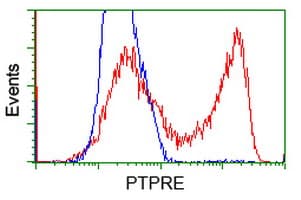 PTPRE / PTP Epsilon Antibody (clone OTI3H3)