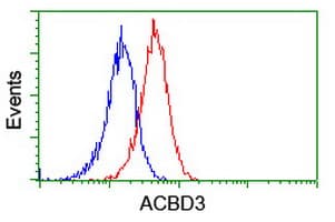 GCP60 / ACBD3 Antibody (clone OTI5F9)