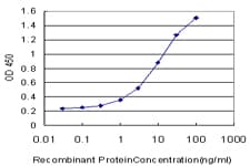 Monoclonal Mouse anti-Human TPBG / 5T4 Antibody (clone 3D6, aa219-328)