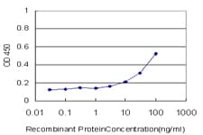 Monoclonal Mouse anti-Human TDO2 Antibody (clone 1C8)