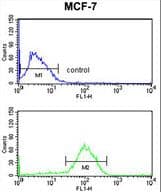 AG3 / AGR3 Antibody (aa119-147)