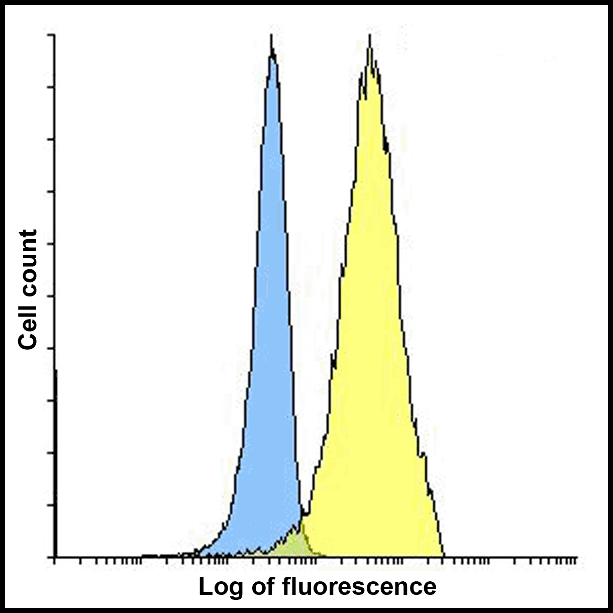 PathPlus™ PD-L2 / PDCD1LG2 / CD273 Antibody (clone 10H6)