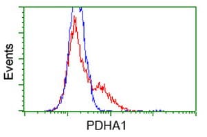 PDHA1 / PDH E1 Alpha Antibody (clone OTI2B10)