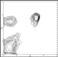 Monoclonal Rat anti-Mouse CD4 Antibody (clone GK1.5, FITC)
