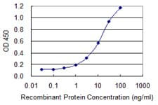 PLXNA2 / Plexin A2 Antibody (clone 2G5)