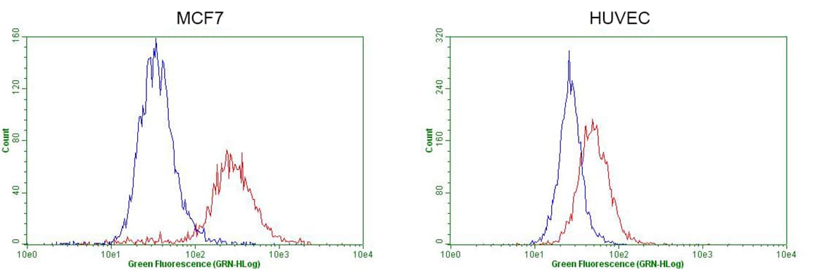 GATA3 Antibody (aa155-443, clone OTI1A5, Carrier-free)