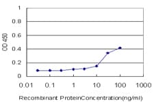 SPI1 / PU.1 Antibody (clone 1A3)