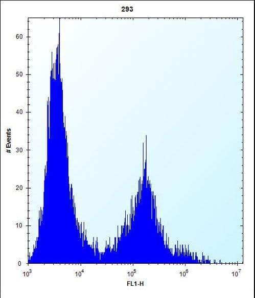 CLEC3B / Tetranectin Antibody (aa95-122)