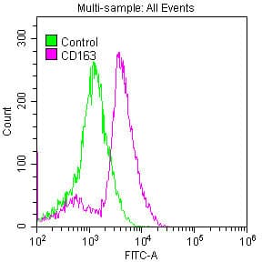 Recombinant Monoclonal Rabbit anti-Human CD163 Antibody (IHC)