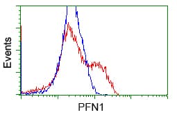 Monoclonal Mouse anti-Human PFN1 / Profilin 1 Antibody (clone OTI1D5, IHC, IF, WB)