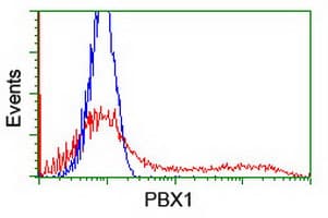 PBX1 Antibody (clone OTI4D1, Carrier-free)