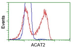 ACAT2 Antibody (clone OTI3A8)