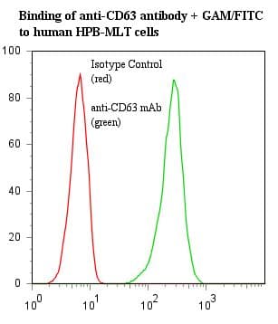 PathPlus™ CD63 Antibody (clone AHN16.1/46-4-5)