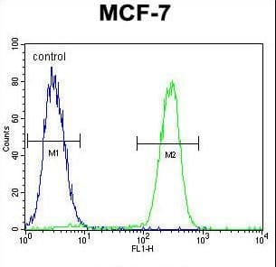 RACGAP1 / MGCRACGAP Antibody (aa23-50)