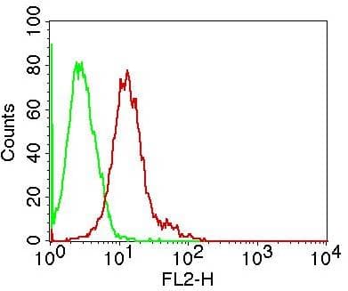 TSLP Antibody