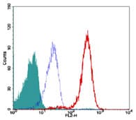 TERF2 / TRF2 Antibody (clone 4A794.15)