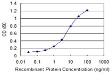 INPP5A Antibody (clone 3D8)