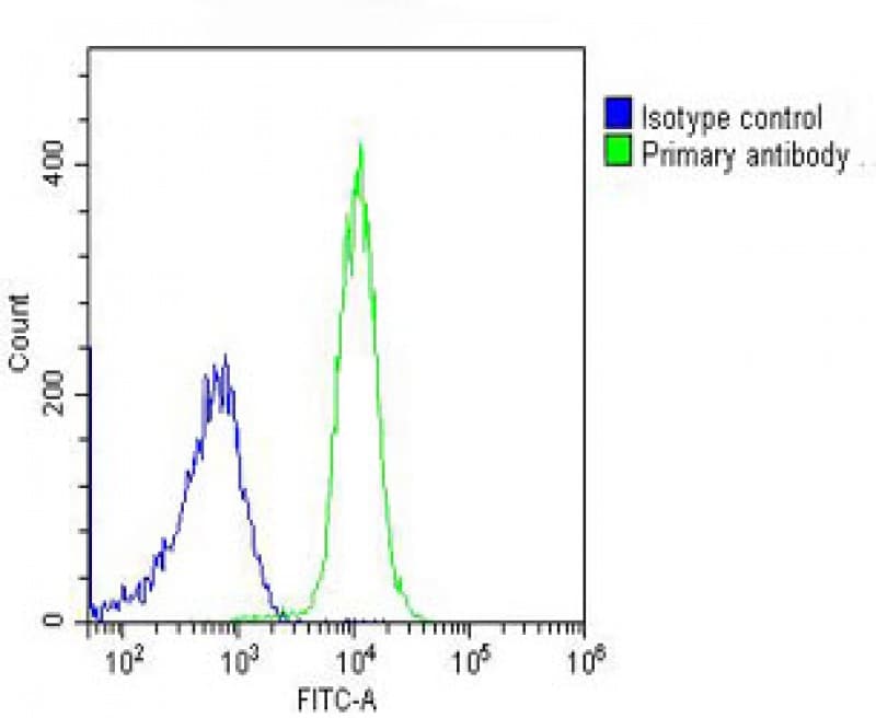 PPID / Cyclophilin D Antibody