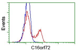 C16orf72 Antibody (clone OTI2B8, Carrier-free)
