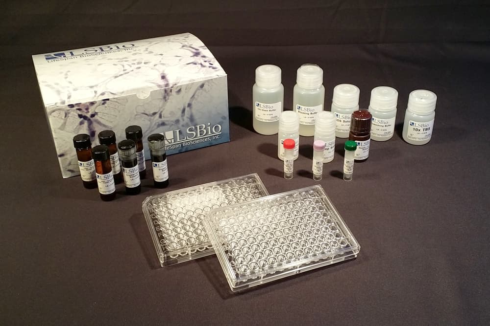 Human EPHX3 / Epoxide Hydrolase 3 ELISA Kit (Cell-Based ELISA)