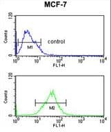 IHC-plus™ SNRPD3 Antibody (aa99-126)