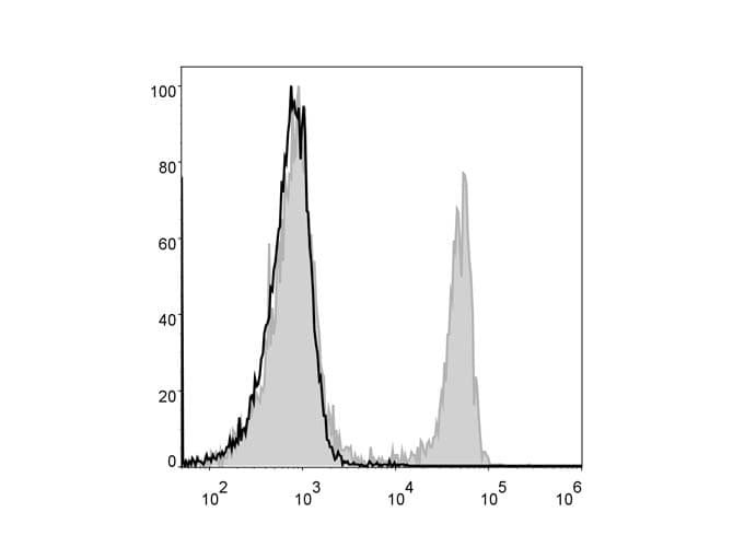 CD4 Antibody (clone GK1.5, AF488)