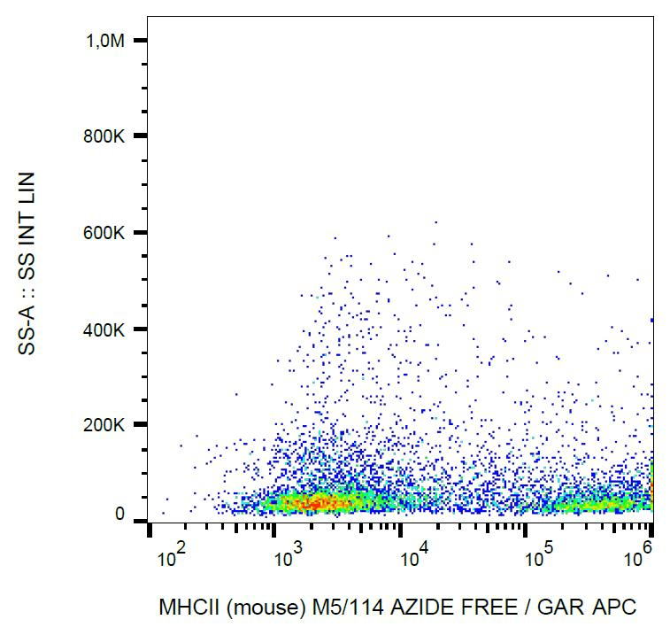 MHC Class II I-A/I-E Antibody (clone M5/114, Azide-free)