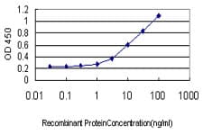 ALDOB Antibody (clone 3B3)