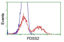 PDSS2 / DLP1 Antibody (clone OTI1D12)