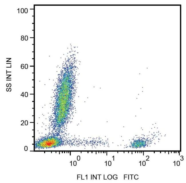 CD20 Antibody (clone 2H7)