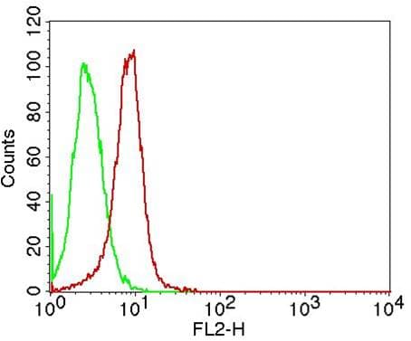 ARHGDIB / D4 GDI Antibody