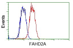 FAHD2A Antibody (clone OTI6D9)