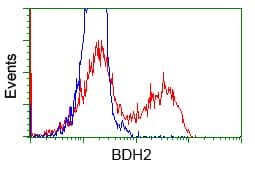 BDH2 Antibody (clone OTI3G10, Carrier-free)