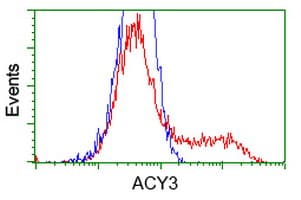 ACY3 Antibody (clone OTI2G4, Carrier-free)