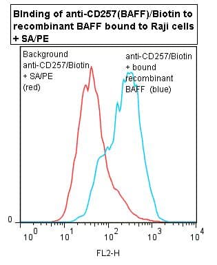 BAFF / TNFSF13B Antibody (clone ANC2H3, Biotin)