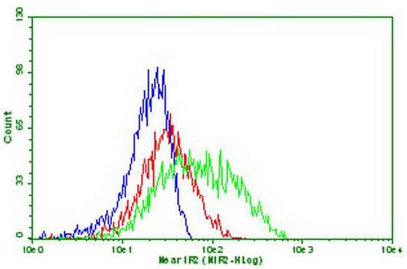 PDCD1 / CD279 / PD-1 Antibody (clone OTI4E10)