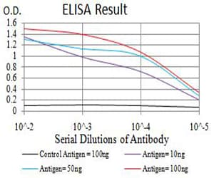 Monoclonal Mouse anti-Human NRP1 / Neuropilin 1 Antibody (clone 5H11G6, WB)