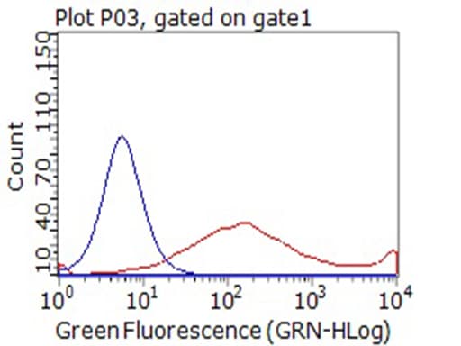Monoclonal Mouse anti-Human CD80 Antibody (clone OTI1G9, WB)