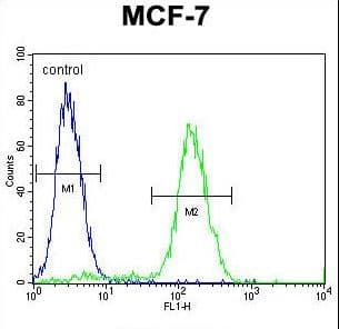 WDR27 Antibody (aa228-256)