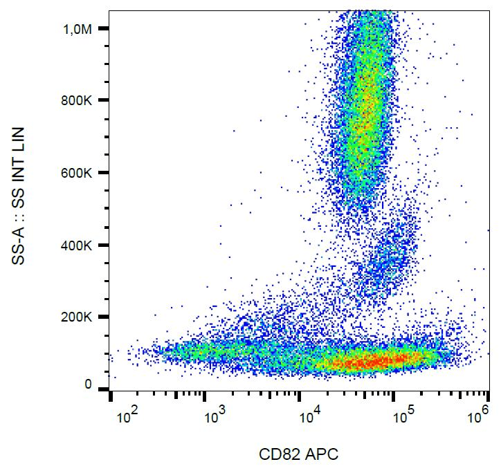 Monoclonal Mouse anti-Human CD82 Antibody (clone C33, APC, IHC, WB)