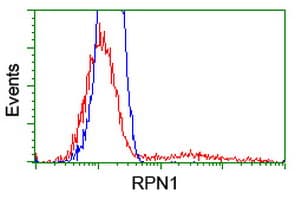 RPN1 / Ribophorin I Antibody (clone OTI2E3)