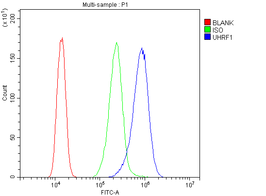 UHRF1 Antibody (aa14-51)