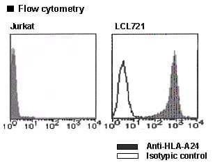 HLA-A24 Antibody (clone 17A10, PE)