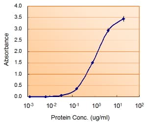 IHC-plus™ MAOB / Monoamine Oxidase B Antibody (aa331-343)